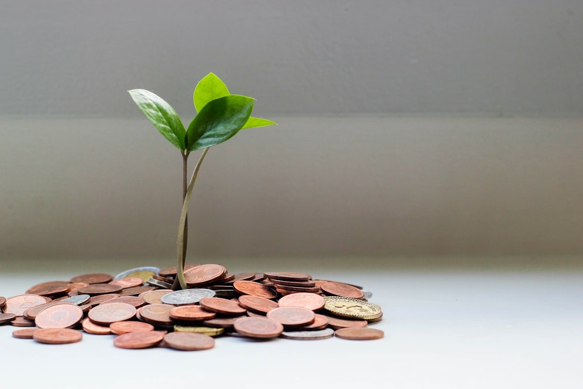 Emergency Fund Math: How Many Months of "Japa Insurance" Do You Actually Need?